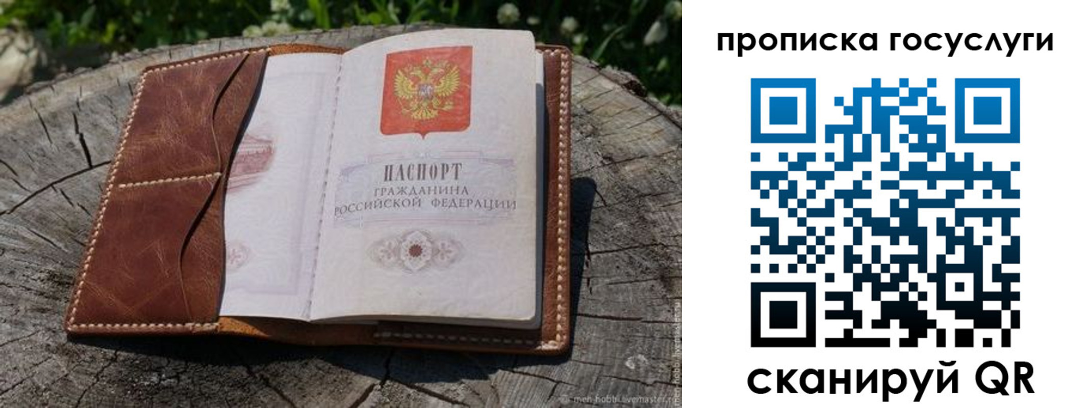 прописка для школы в Петрозаводске