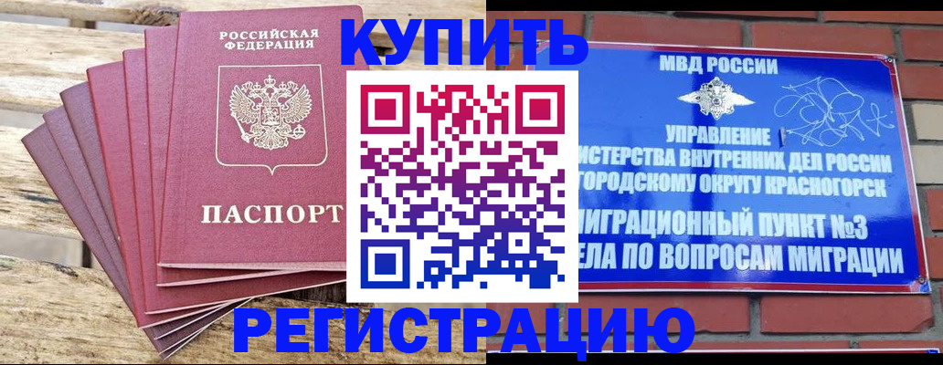 прописка 2025 в Петрозаводске